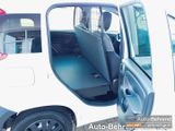 Fiat Panda Van Business Klima 2-Sitzer Trennwand - Fiat Panda aus 2022