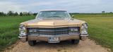 Cadillac Deville - Cadillac Deville Gebrauchtwagen