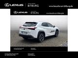 Lexus UX 250h Style Edition /ACC/FLA/ParkAss./SHZ/LM - Lexus