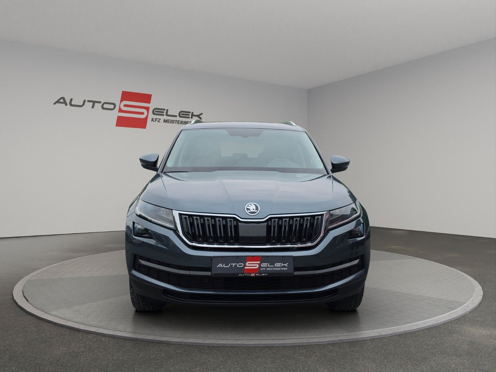 Fahrzeugabbildung SKODA Kodiaq Style 4x4 LED AHK CARPLAYER