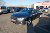 Audi A5 2.0 TFSI Cabriolet S line Windschott - Audi A5 aus 2010: Cabrio
