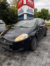 Fiat Punto 1.2 8V - - Fiat Punto Gebrauchtwagen in Köln