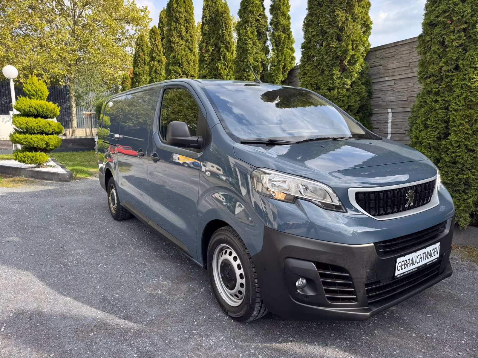 Peugeot Expert Kasten Pro L3, миниатюра 6