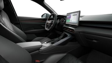 Cupra Terramar - 12