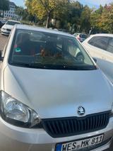 Skoda Sehr sparsames erst Wagen - mit Benzin-Antrieb: Sparsame