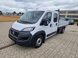 Fiat Ducato Maxi Pritsche 35 160 L5 - Fiat Ducato l5