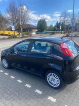 Fiat Punto 1.2 Benziner - TÜV bis 11/2026 - Fiat Punto: 11