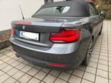 BMW 220d Cabrio Sport Line Sport Line - BMW 220 aus 2020