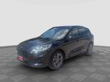 Ford FORD Kuga Kuga 2.0 EcoBlue Hybrid 150 CV 2WD ST- - Ford Kuga Hybrid (Diesel/Elektro)