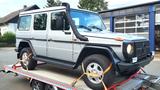 Mercedes-Benz G300CDI Professional! "Der Beste!!" 16.000 km!!! - Mercedes-Benz G 300: Cdi