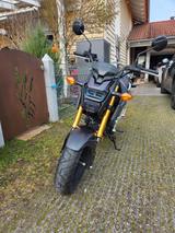 Honda MSX125 - Offers