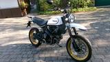 Ducati Scrambler Desert Sled 800 DS *TÜV frisch* - DUCATI SL