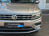 Volkswagen Tiguan Highline 4Motion DSG/LED/AHK/Kamera/ACC - mit Benzin-Antrieb: Beige, mit Android Auto, mit Klimaanlage