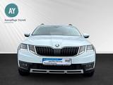 Skoda Octavia Combi Scout 4x4|Kamera|LED|Anhängerkppl. - Skoda Octavia: Scout Combi