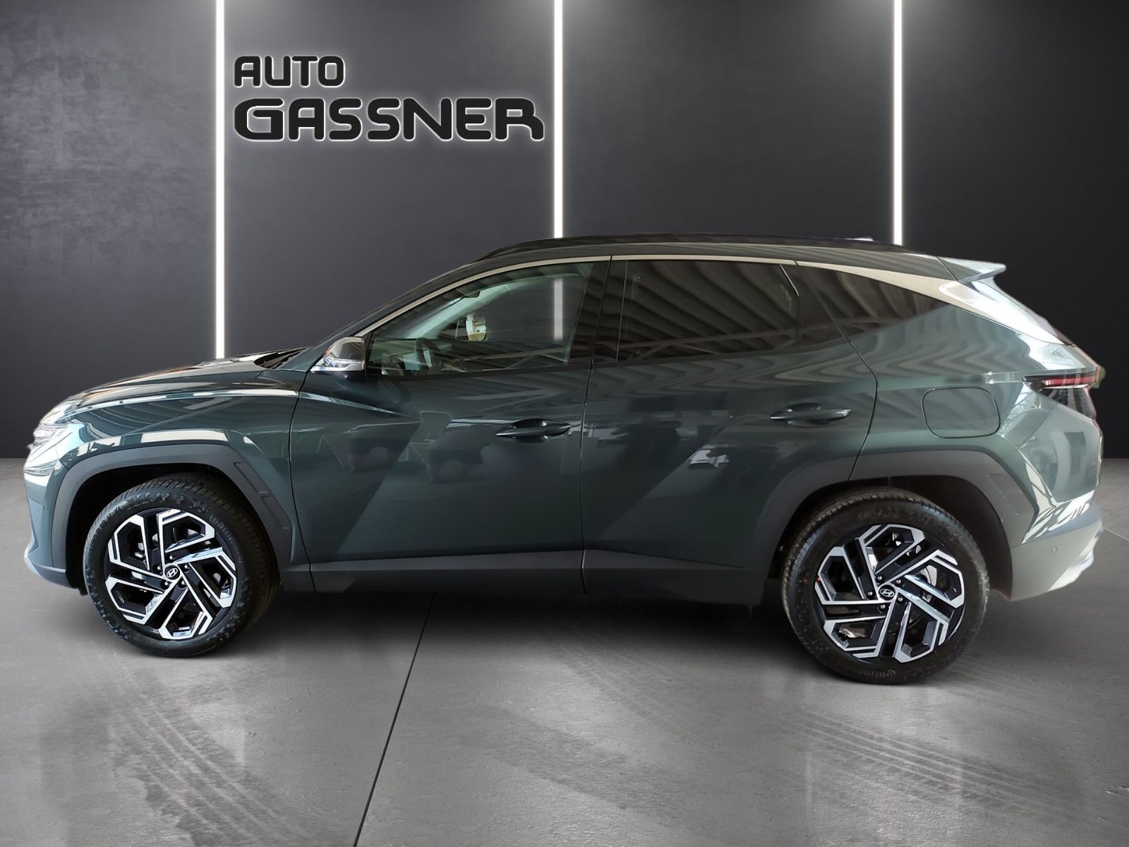 Fahrzeugabbildung Hyundai Tucson 252 PS PHEV PRIME 2WD Mj.25