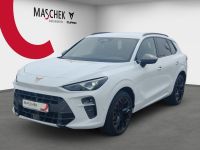 Cupra Terramar - Vorschau Bild 2