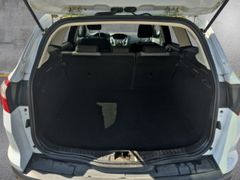 Fahrzeugabbildung Focus Turnier Champions Edition TDCi 116PS