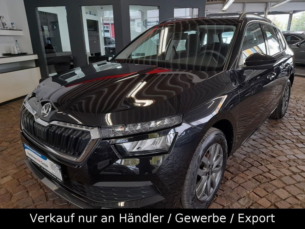 Angebot ansehen Skoda Kamiq