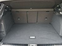 Audi Q3 - Vorschau Bild 13