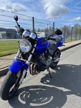 Honda CB 600F Hornet PC34 TÜV Neu - HONDA 2001 HORNET 600