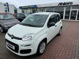 Fiat Panda Easy+ALLWETTER+KLIMA+RADIO+4SITZER+ABS+ESP - Fiat Panda: Sitze