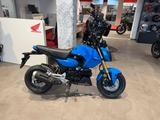 Honda MSX 125 Grom 2025 Blau *Tageszulassung 08-25* - KLEINKRAFTRAD