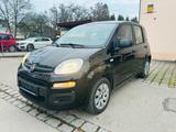 Fiat New Panda 1.2 Klima Zahnriemen neu 55.000km Top - scheckheftgepflegte Fiat New Panda