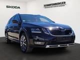 Skoda Octavia Combi Scout *Sthz.,AHK,RFK,TWA* - Skoda: Combi Scout