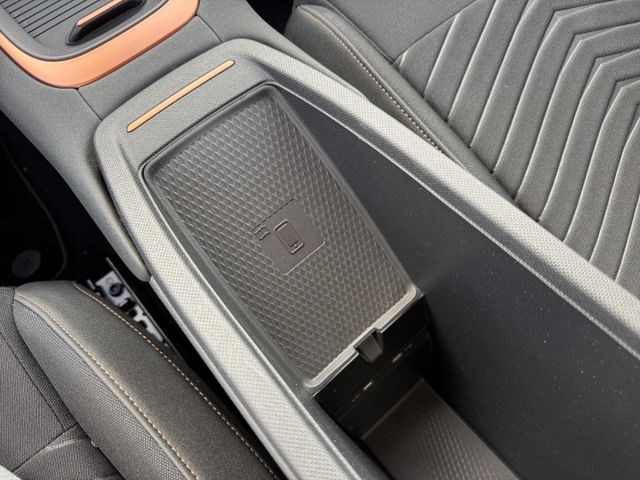 Born 58 kWh LED Navi Sitzh. ACC Kamera Allwetter