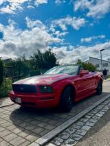 Ford Mustang - gebrauchte Ford Mustang aus dem Jahr 2008