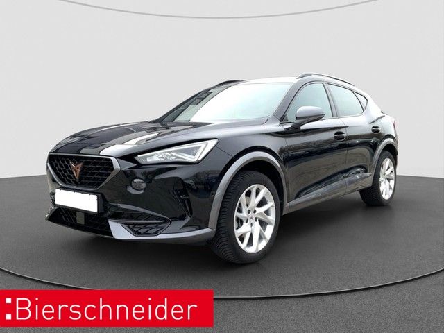 Cupra Formentor 2.0 TSI DSG 4Dr ab 329EUR 0EUR SPURWEC