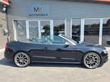 Audi S5 Cabriolet 3.0 TFSI quattro - Audi S5: Cabrio