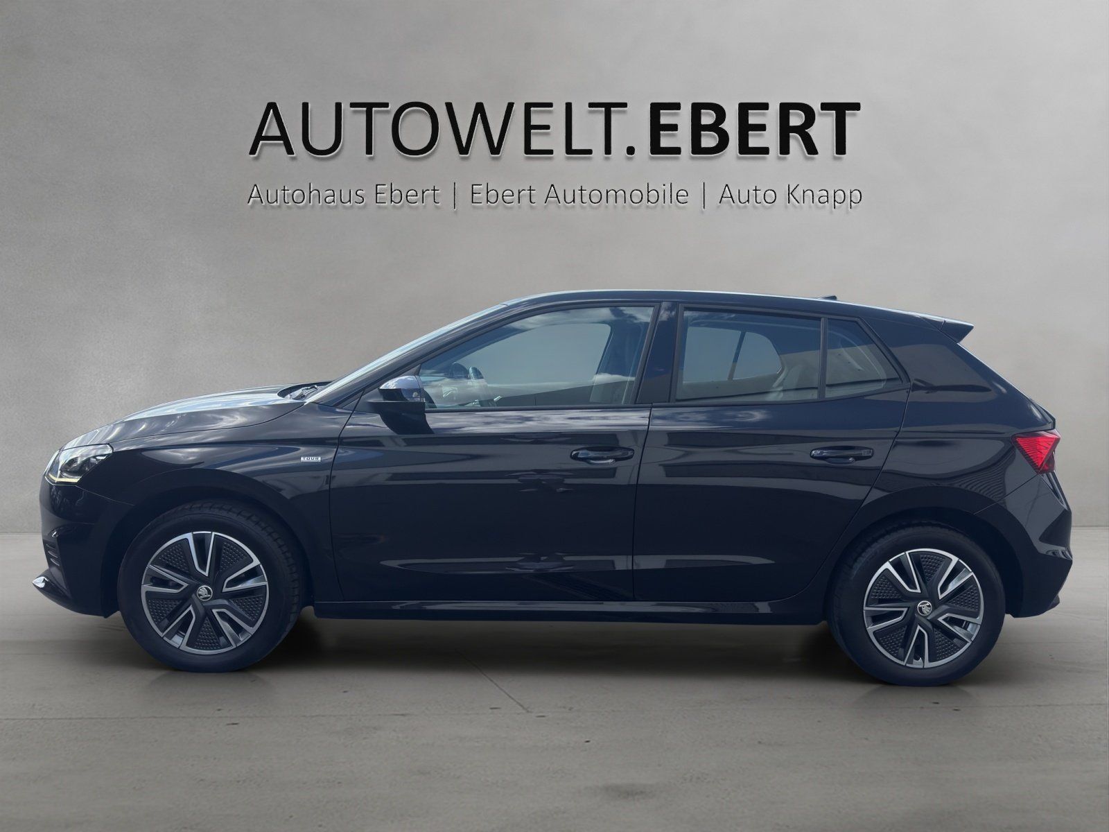 Fahrzeugabbildung SKODA Fabia 1.0 TSI Tour/SMART-LINK/PDC/LED/SHZ/