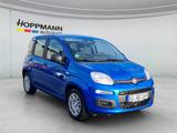 Fiat Panda 1.0 Mild-Hybrid *Klima*PDC*5sitzer* - Fiat Panda Jahreswagen