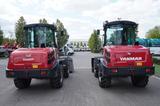 Schaeff Yanmar/SCHAEFF TL80 Wheel Loader / 2023 / 2000 H - Schaeff Baggerlader