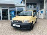 Fiat Panda 1.2 8V Dynamic - Fiat Panda mit Halbautomatikschaltung