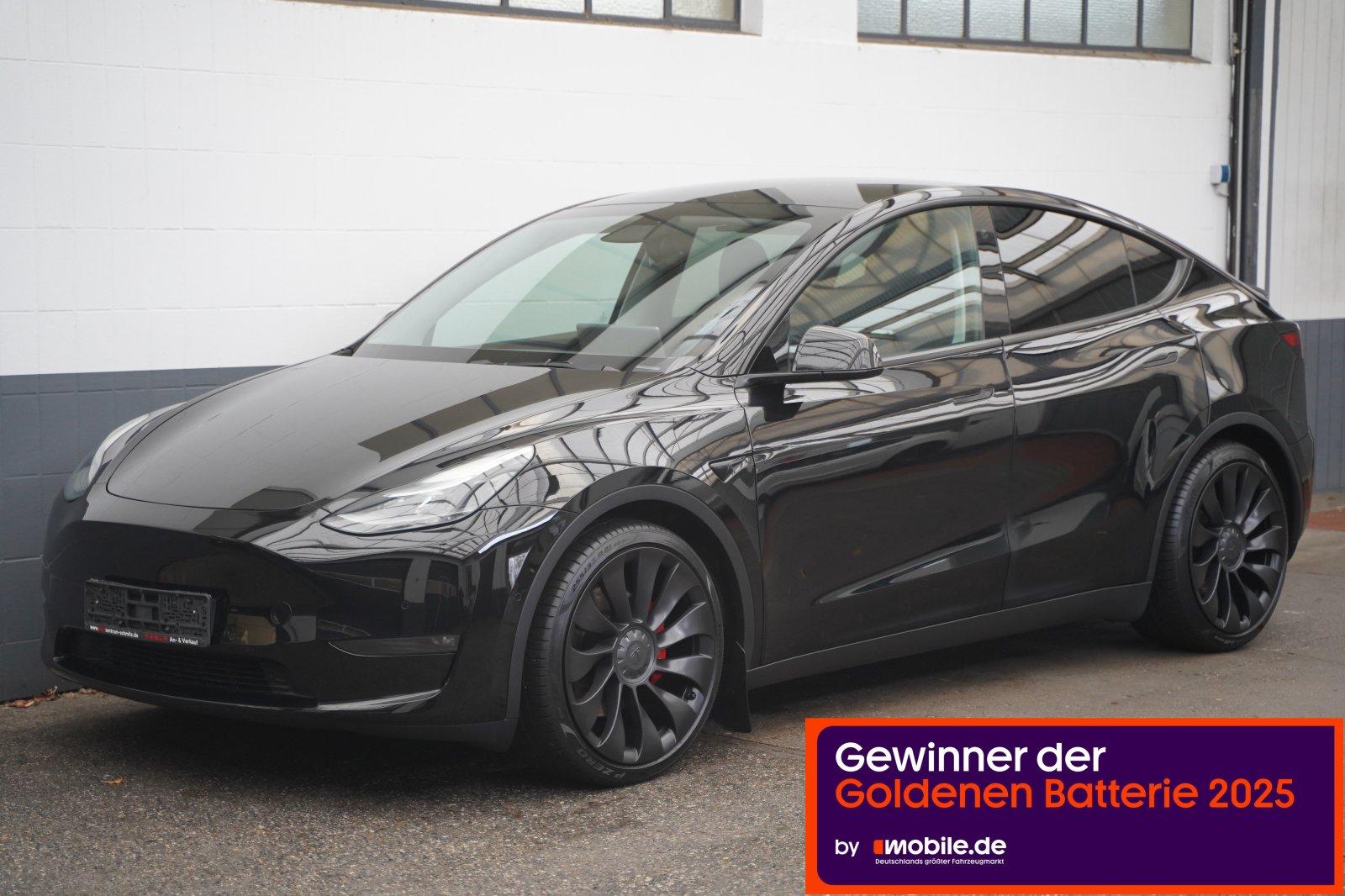 Tesla Model Y Performance*1.Hd.*Batterieprotokoll