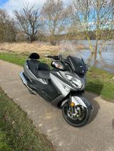 Suzuki AN 650 Burgman Executive 2018 ABS Inspektion neu - SUZUKI BURGMAN 650 EXEC