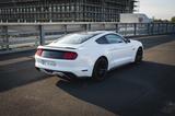 Ford Mustang GT US Performance Package Recaro - Ford Mustang: Us