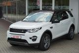 Land Rover Discovery Sport 2.0 TD4 Bi-Xenon Navi Kamera USB - : Pickup, Us