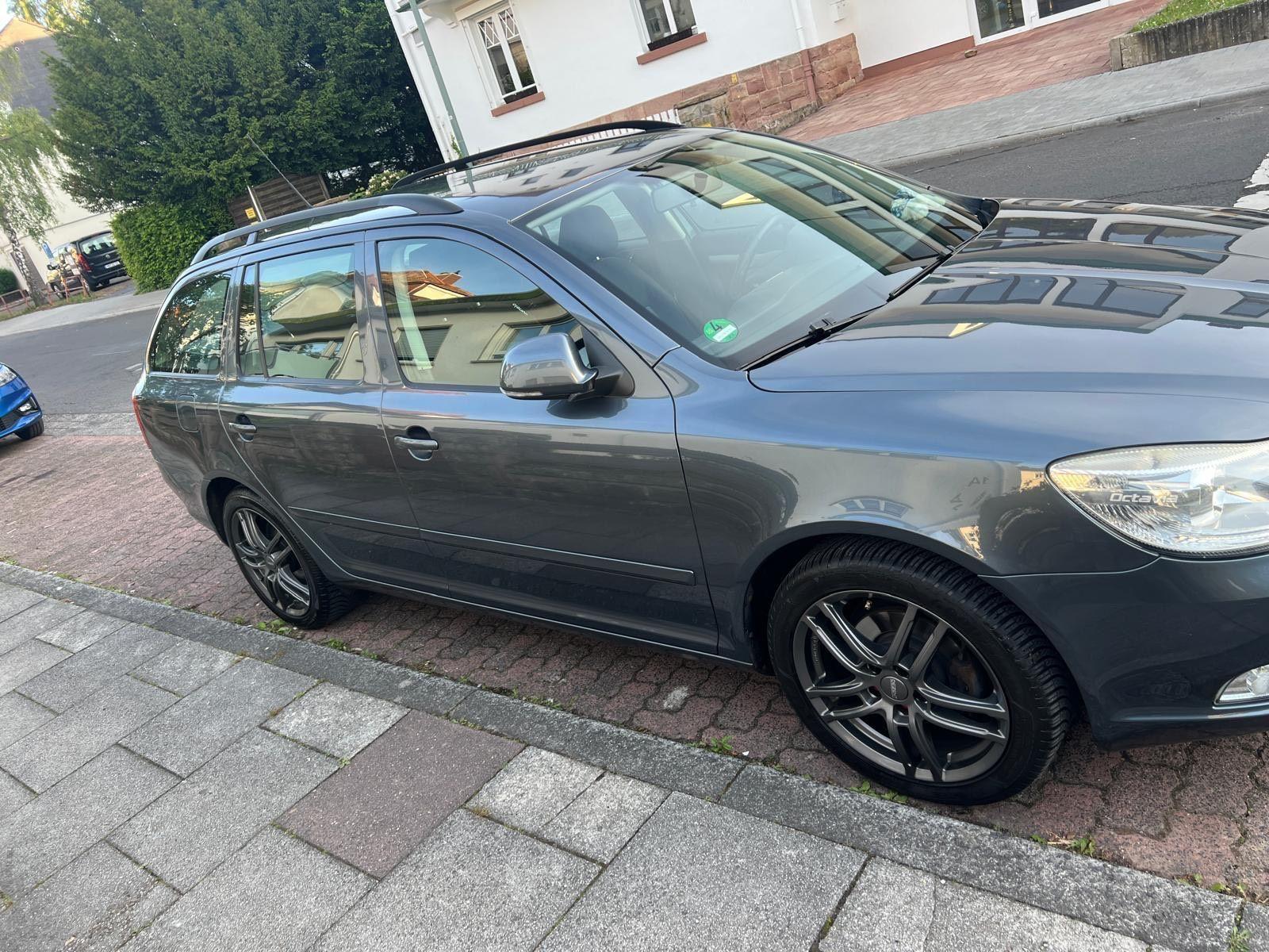 Skoda Octavia 2009 — rear view