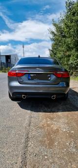 Jaguar jaguar xf 3.0 diesel  300ps 8 Gang - Jaguar: X300