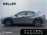 Lexus UX 250h Launch Edition *Bi-LED*ACC*CAM*SHZ*Navi* - Lexus UX Gebrauchtwagen
