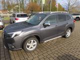 Subaru Forester 2,0ie Platinum Lineartronic - Subaru Forester mit Hybrid-Antrieb
