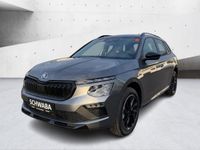 Skoda Kamiq - Vorschau Bild 2