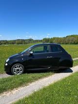 Fiat Ellenator Fiat 500 Auto ab 16 HU/AU KD neu... - Fiat: Auto 16