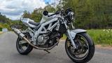 Suzuki SV 650 S/N - SUZUKI 2004 SV650