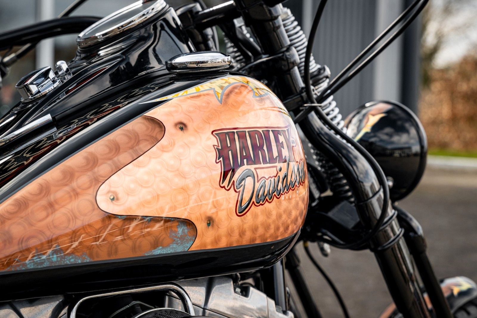 Fahrzeugabbildung Harley-Davidson SOFTAIL CROSS BONES CUSTOM FLSTSB - BIG SPOKE