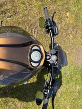 Harley-Davidson Nightrod VRSCDX - HARLEY-DAVIDSON VRSCDX