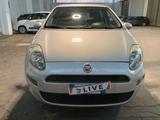 Fiat Punto 1.2 8V 5 porte Street - Fiat Punto: Street